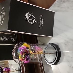 KY Vintage Border Collection Holographic Rose in Glass Dome- New!